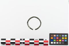 Foto von Bronzering (NHMW-PRAE-023824)